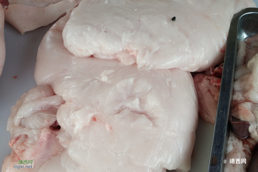 正宗本地农村散养土猪肉 - 靖西市·靖西网