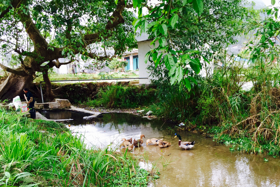 望得见山 看得见水 才能记得住乡愁  致罗隆小坡江 - 靖西市·靖西网
