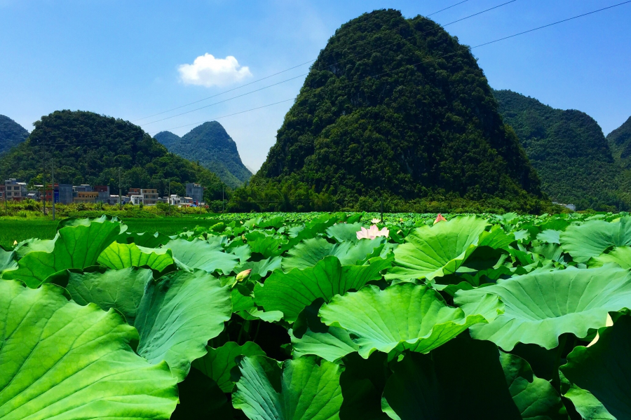 望得见山 看得见水 才能记得住乡愁  致罗隆小坡江 - 靖西市·靖西网
