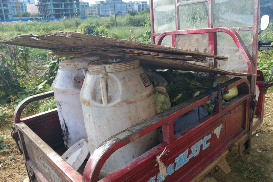 正宗本地农村散养土猪肉 - 靖西市·靖西网