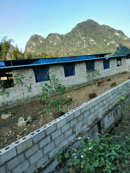 德保上半年接待游客82.5万 旅游收入6.35亿，靖西接待游客逾300万人收入多少个亿？ - 靖西市·靖西网