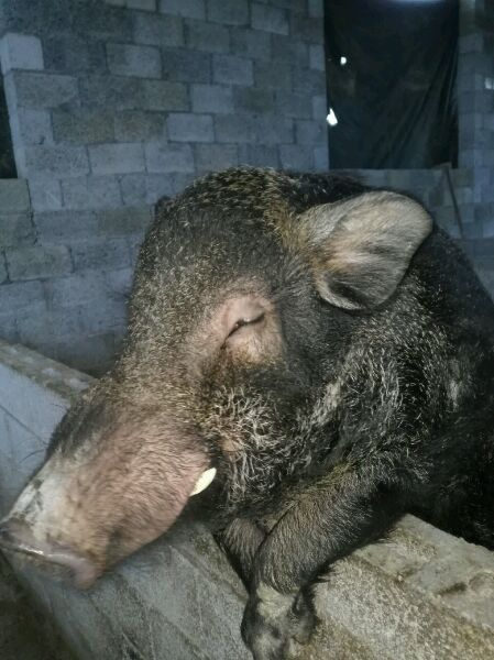 德保上半年接待游客82.5万 旅游收入6.35亿，靖西接待游客逾300万人收入多少个亿？ - 靖西市·靖西网