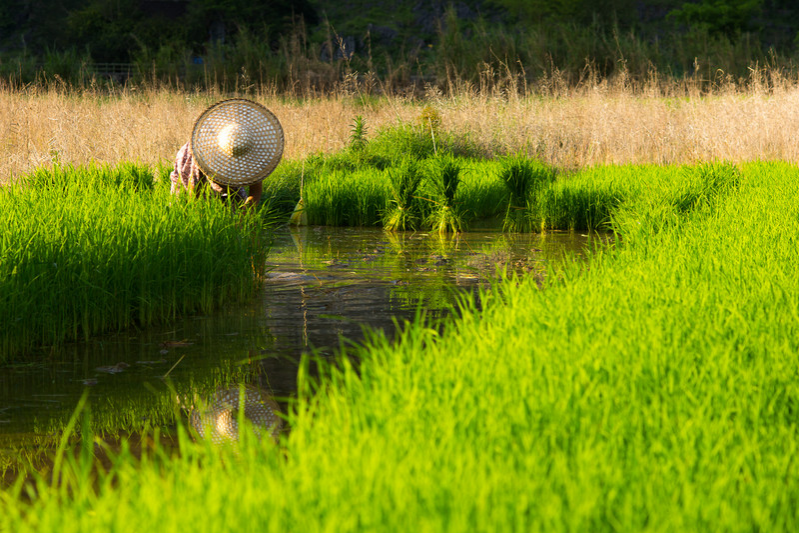 靖西——广西以西 - 靖西市·靖西网
