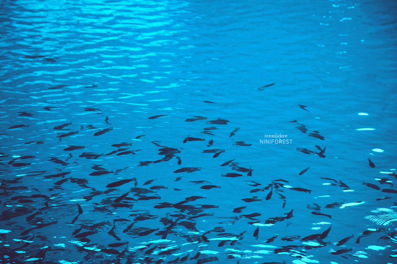 靖西——广西以西 - 靖西市·靖西网