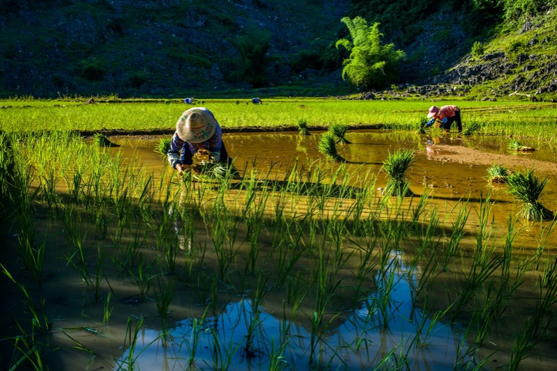 靖西——广西以西 - 靖西市·靖西网