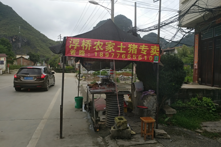 正宗本地农村散养土猪肉 - 靖西市·靖西网