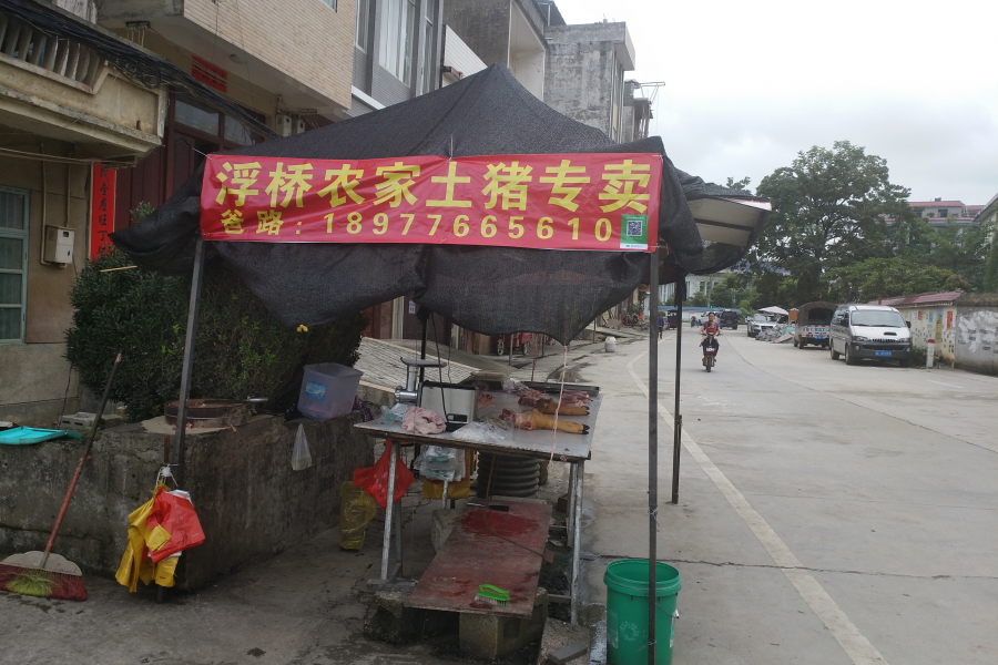 正宗本地农村散养土猪肉 - 靖西市·靖西网