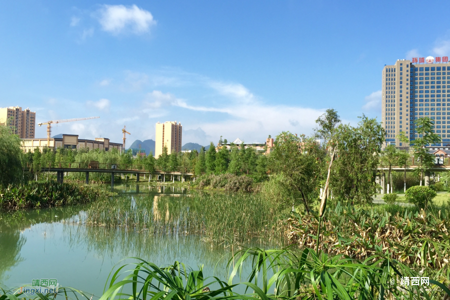 湿地晨光 - 靖西市·靖西网