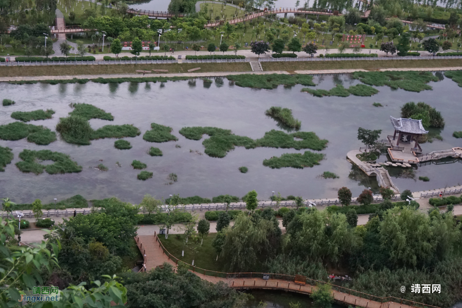 湿地晨光 - 靖西市·靖西网