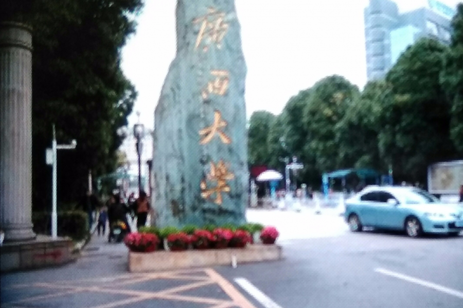 南宁印象 - 靖西市·靖西网