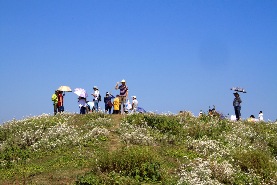 靖西同德乌鸦山魅力无穷~又登高山去，看山千万重。 - 靖西市·靖西网