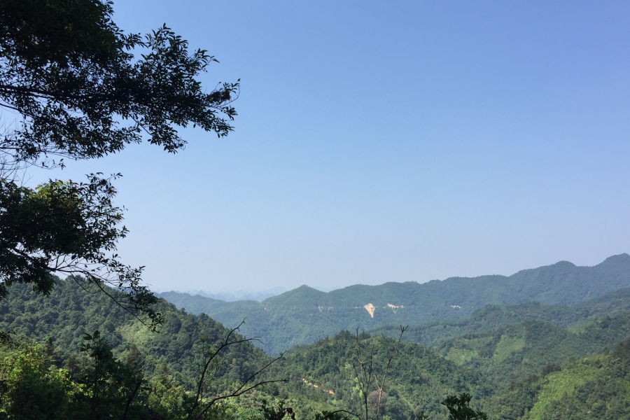 靖西同德乌鸦山魅力无穷~又登高山去，看山千万重。 - 靖西市·靖西网