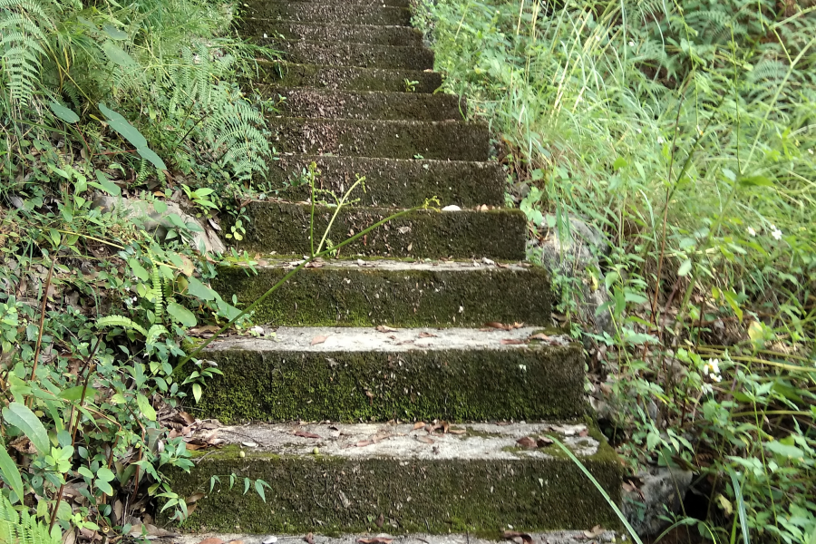初探靖西新圩观音岩 - 靖西市·靖西网