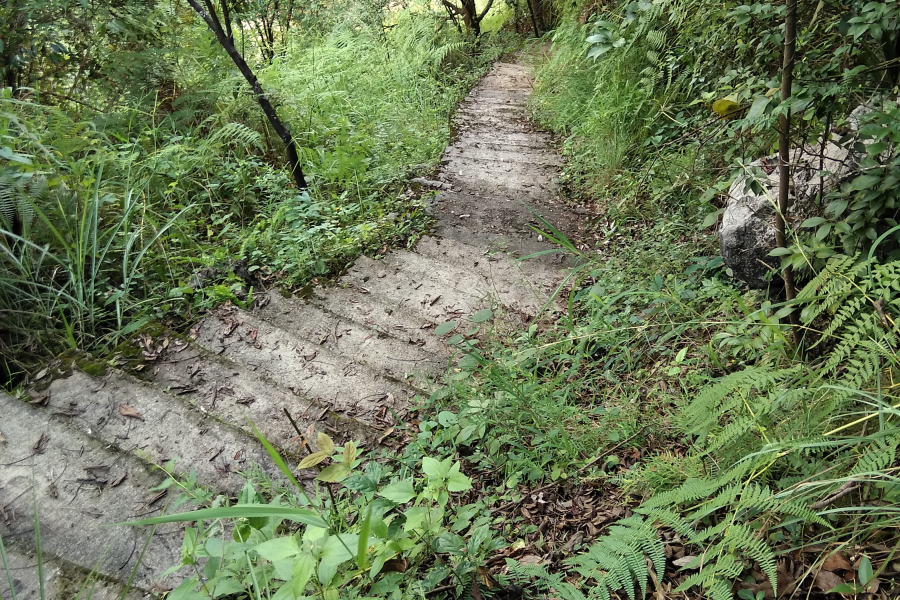 初探靖西新圩观音岩 - 靖西市·靖西网