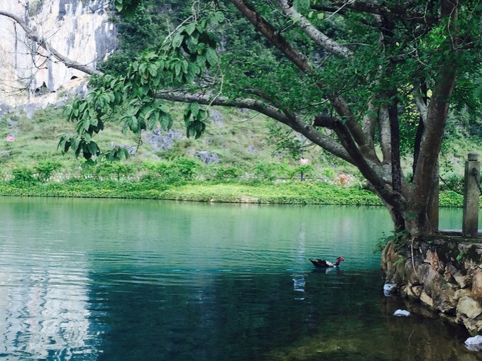 西南边陲五日游-靖西，一个又爱又恨的地方 - 靖西市·靖西网