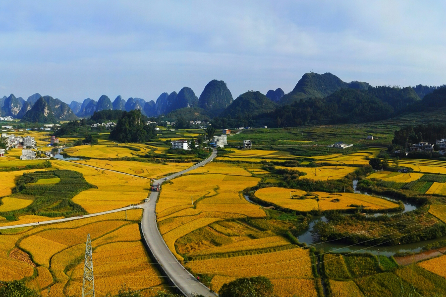 秋之韵，靖西市壁零村全景图（续） - 靖西市·靖西网