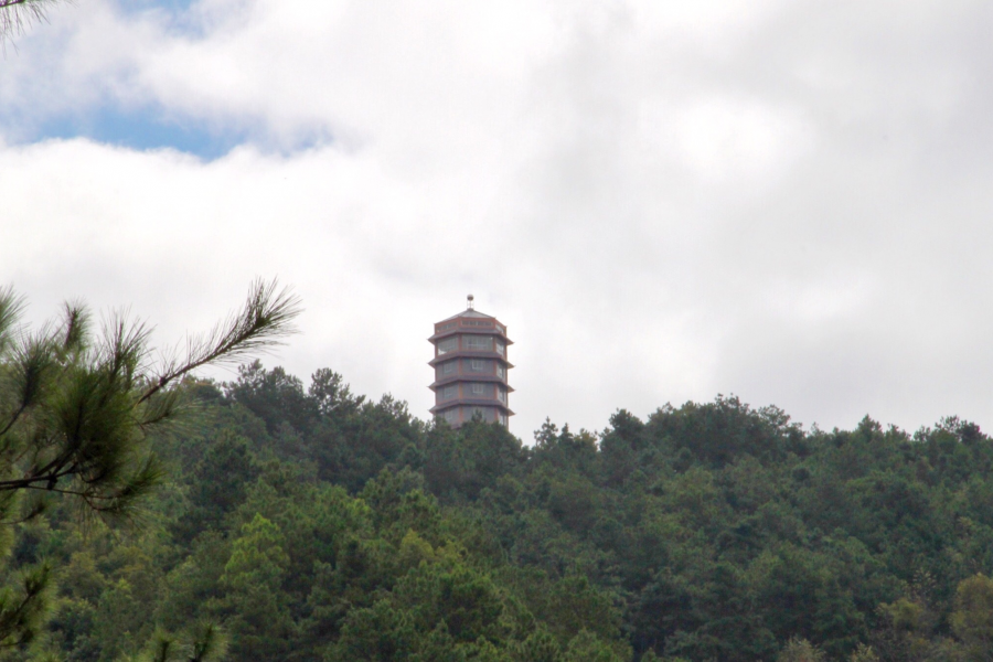 重游五岭林场，呼吸新鲜空气：登高看青山万重，入林听松涛澎湃。 - 靖西市·靖西网