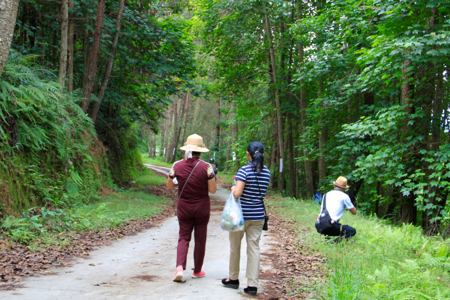 重游五岭林场，呼吸新鲜空气：登高看青山万重，入林听松涛澎湃。 - 靖西市·靖西网