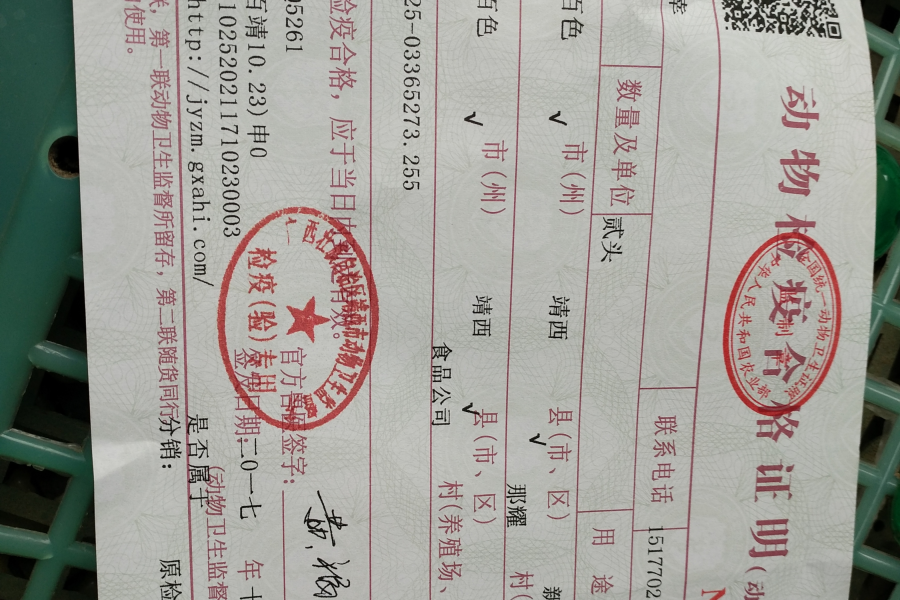 正宗本地农村散养土猪肉 - 靖西市·靖西网