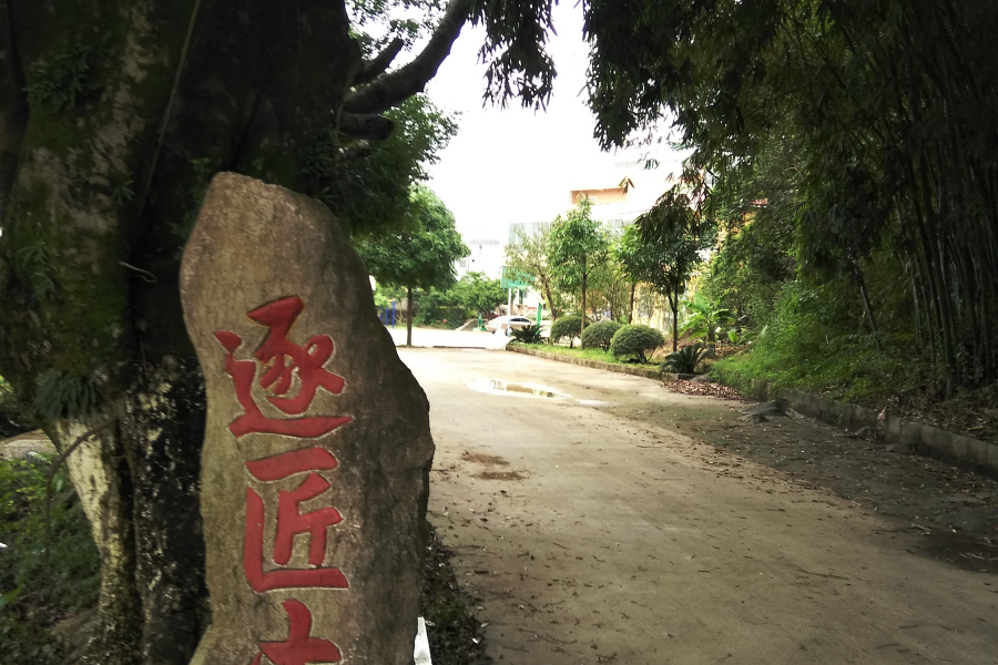 村头小景 - 靖西市·靖西网