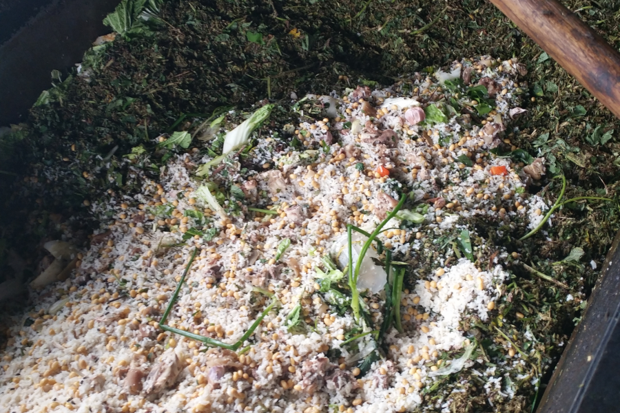 浮桥农家土猪肉专卖 - 靖西市·靖西网