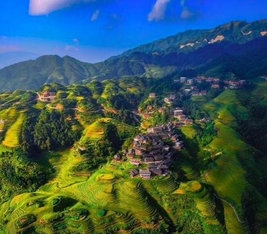 桂林龙脊梯田 - 靖西市·靖西网