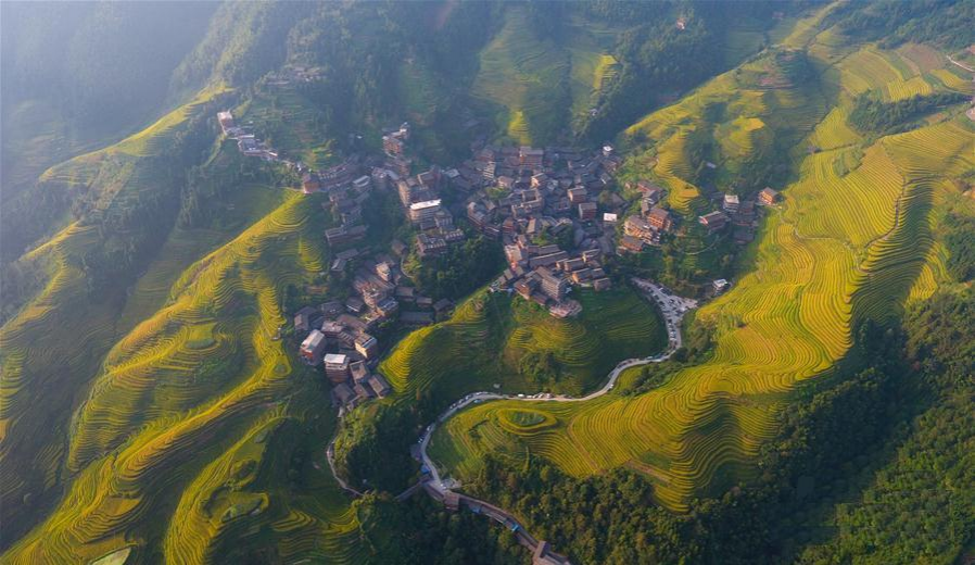 桂林龙脊梯田 - 靖西市·靖西网