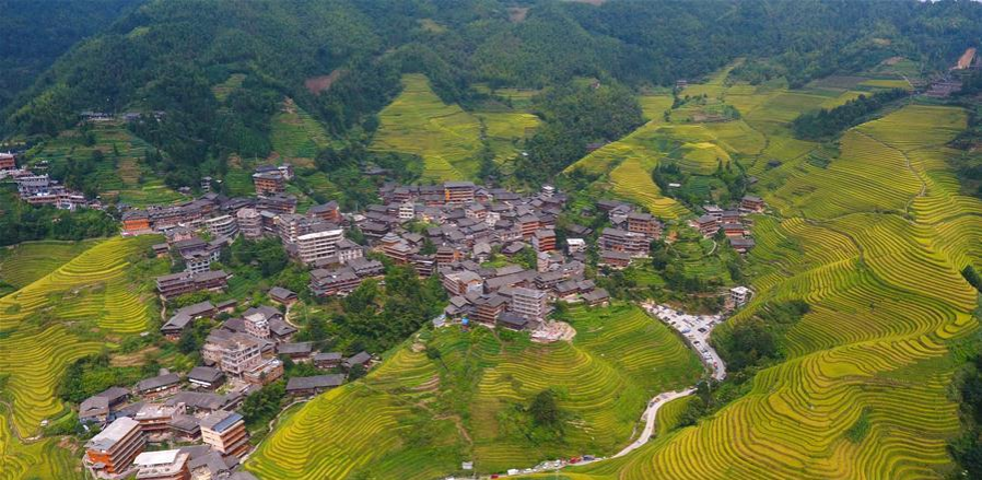 桂林龙脊梯田 - 靖西市·靖西网