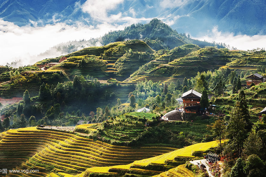 桂林龙脊梯田 - 靖西市·靖西网