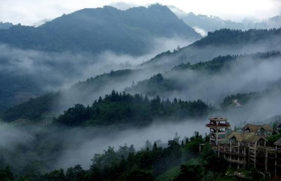 凌云茶山的清晨美景，堪比人间仙境 - 靖西市·靖西网