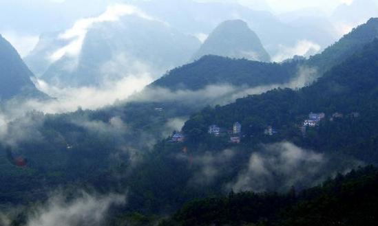 凌云茶山的清晨美景，堪比人间仙境 - 靖西市·靖西网