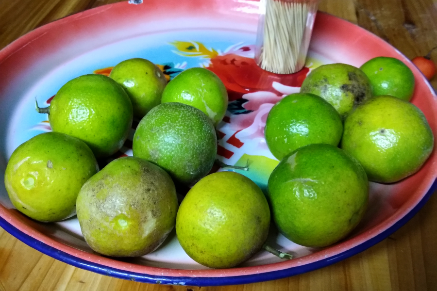 今天立冬暖如春，俺去爬山有收获。 - 靖西市·靖西网