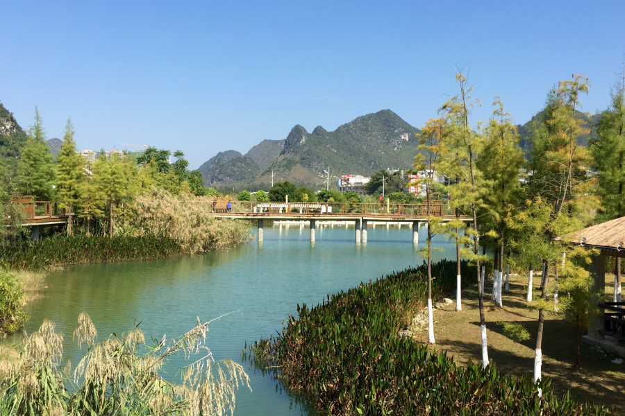 风和日丽，碧空万里。 - 靖西市·靖西网