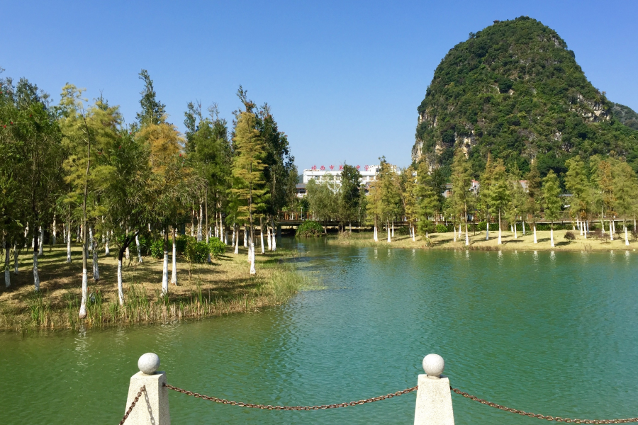 风和日丽，碧空万里。 - 靖西市·靖西网