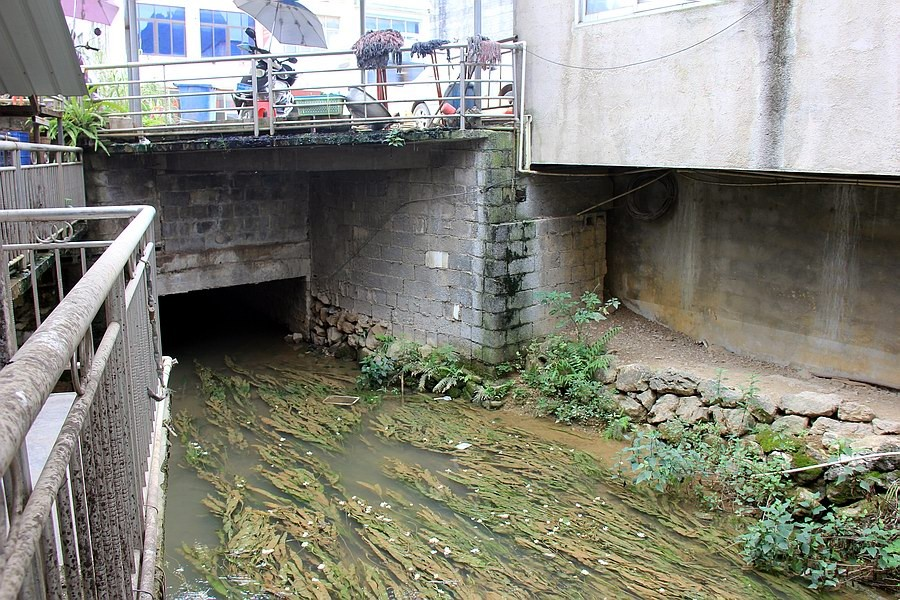 大靖西的秋天 - 靖西市·靖西网