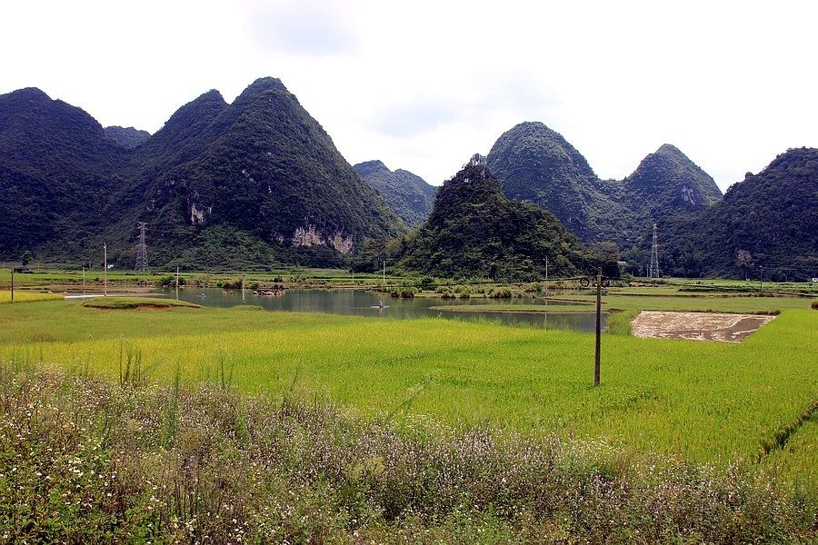 大靖西的秋天 - 靖西市·靖西网
