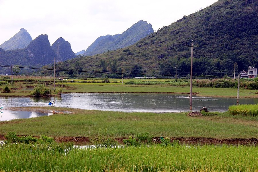 大靖西的秋天 - 靖西市·靖西网