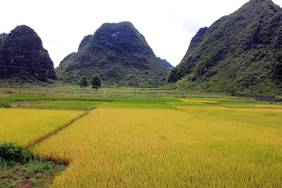 大靖西的秋天 - 靖西市·靖西网