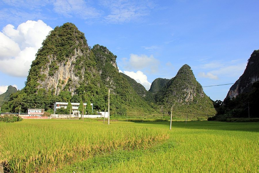 大靖西的秋天 - 靖西市·靖西网
