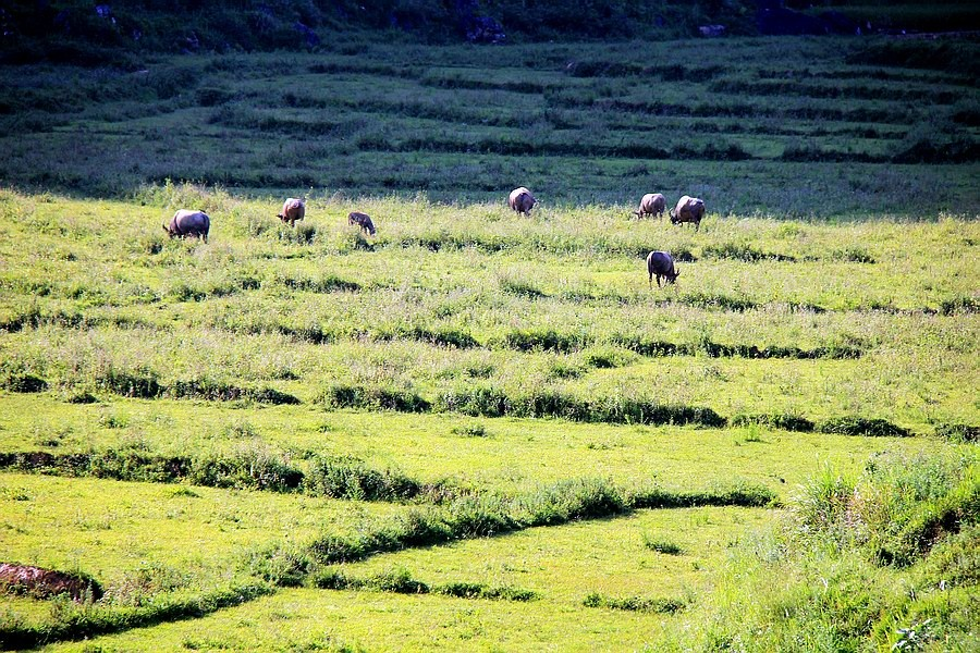 大靖西的秋天 - 靖西市·靖西网