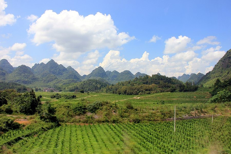 大靖西的秋天 - 靖西市·靖西网