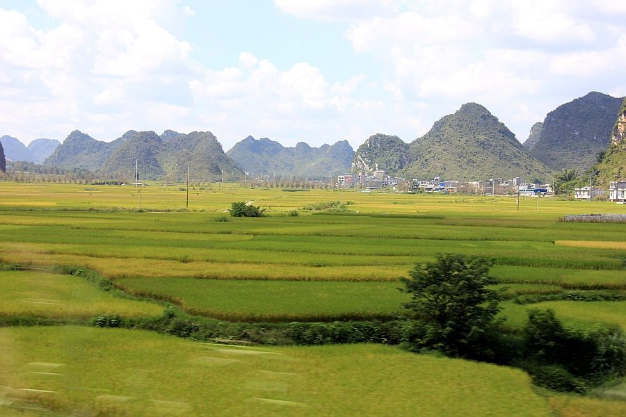 大靖西的秋天 - 靖西市·靖西网