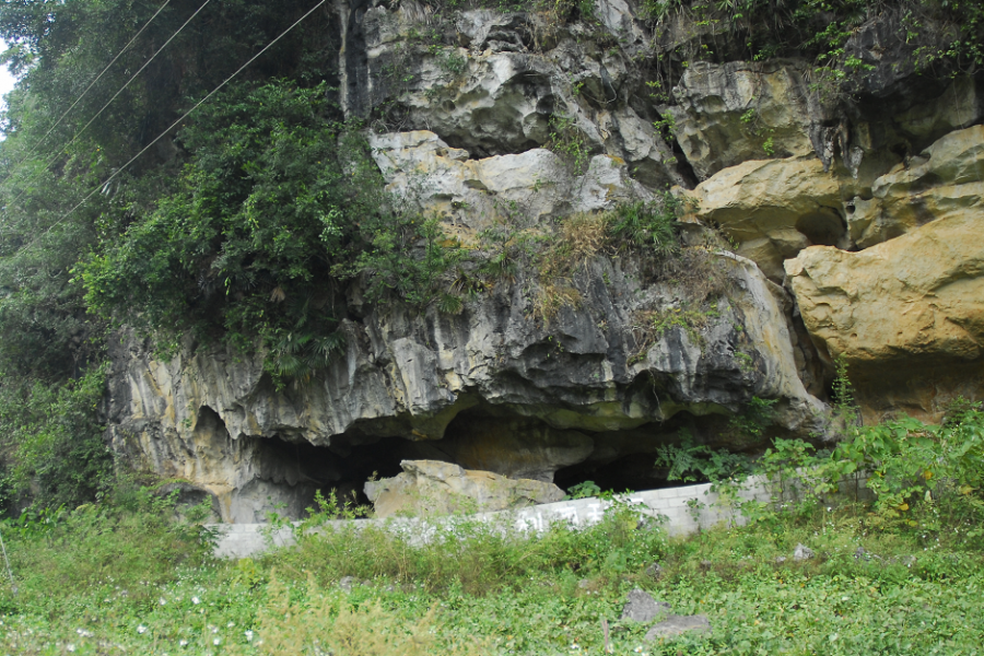 懂外星文的朋友进来看看这里写画着什么 - 靖西市·靖西网