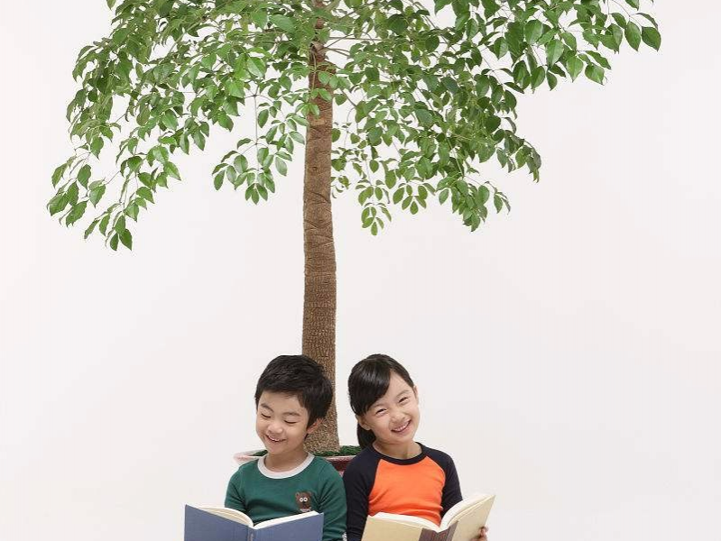 陪孩子写作业，妈妈情绪失控爸爸喝农药：孩子的教育问题，真的有这么难吗？ - 靖西市·靖西网