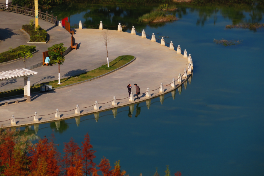 新鲜出炉，靖西市龙潭湿地公园冬景。 - 靖西市·靖西网