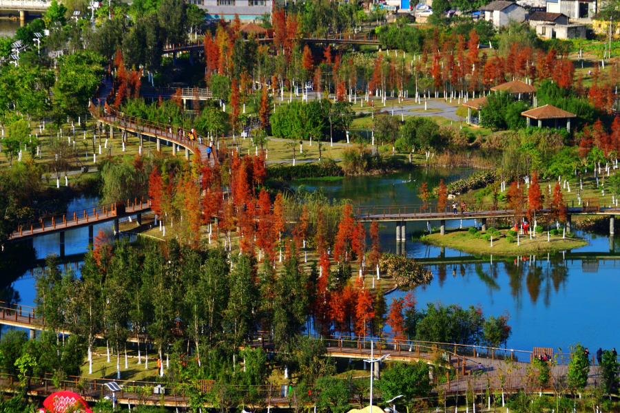 新鲜出炉，靖西市龙潭湿地公园冬景。 - 靖西市·靖西网