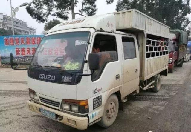 奇葩！广西这辆小货车挤满38人，小货车秒变大客车！ - 靖西市·靖西网