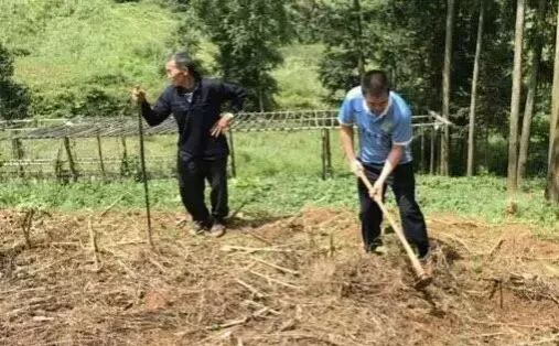 流泪了！靖西安宁乡那冷村的贫困群众！ - 靖西市·靖西网