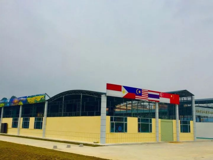 漂亮！靖西体育馆变这么美了…… - 靖西市·靖西网