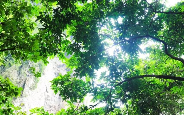 靖西通灵大峡谷首创原生态即兴自由舞户外实景呈现 - 靖西市·靖西网